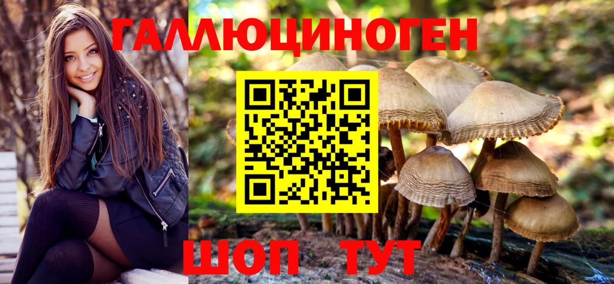 Галлюциногенные грибы Psilocybe Владикавказ