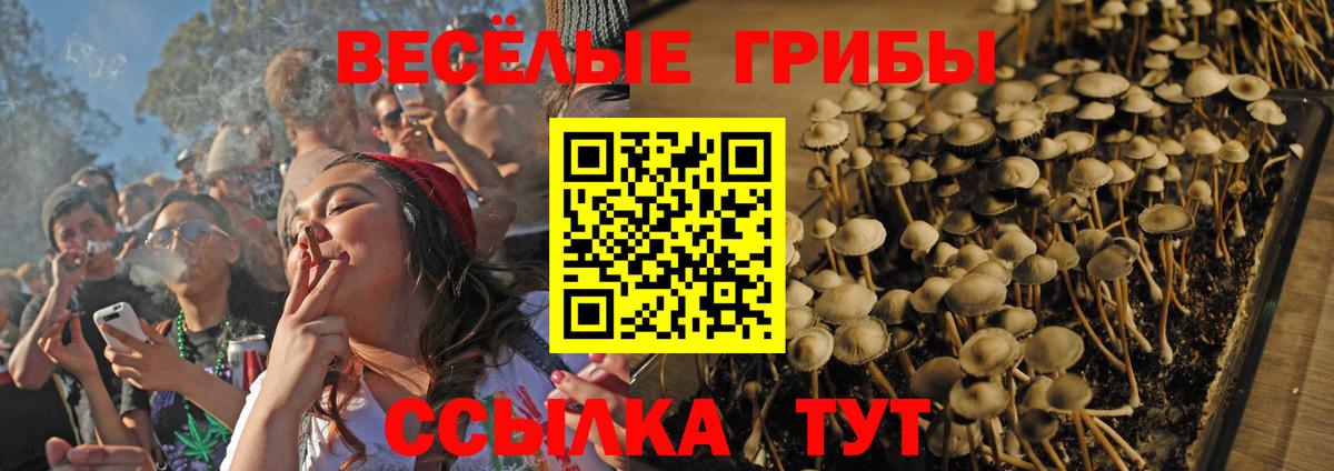 Владикавказ  Галлюциногенные грибы MAGIC MUSHROOMS  Вход с VPN 